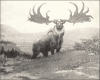 +extinct+mammal+animal+Irish+Elk+BW+ clipart