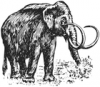 +extinct+mammal+animal+mammoth+ clipart