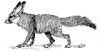 +animal+Canidae+omnivorous+Fennec+Fox+Canis+zerda+ clipart