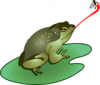 +animal+amphibians+carnivorous+anura+bull+frog+catching+a+fly+ clipart
