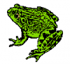 +animal+frog8+ clipart