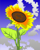 +flower+blossom+sunflower+ clipart