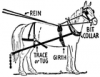 +animal+mammal+collar+rein+girth+on+horse+ clipart