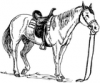 +animal+mammal+horse+saddled+ clipart