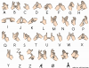 +signal+asl+language+hand+communication+Norwegian+sign+language+alphabet+ clipart