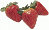 +food+nourishment+eat+fruit+strawberries+big+ clipart