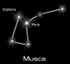 +astronomy+astrology+space+constellation+musca+black+ clipart