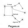 +astronomy+astrology+space+constellation+pegasus+ clipart