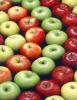 +fruit+food+produce+apple+rows+ clipart