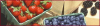 +fruit+food+produce+berries+banner+ clipart