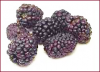 +fruit+food+produce+berries+black+ clipart
