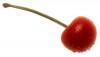+fruit+food+produce+cherry+large+ clipart