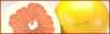 +fruit+food+produce+grapefruit+banner+ clipart