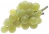 +fruit+food+produce+green+grapes+large+ clipart