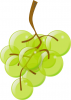 +fruit+food+produce+green+grapes+on+vine+ clipart