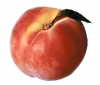 +fruit+food+produce+peach+picture+ clipart