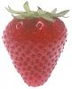 +fruit+food+produce+strawberry+large+ clipart