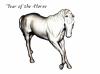 +background+desktop+year+of+the+horse+ clipart