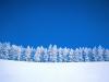 +snow+trees+desktop+background+ clipart