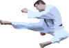 +karate+kick+sport+ clipart
