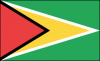 +world+flag+Guyana+ clipart