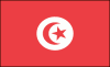 +world+flag+Tunisi+ clipart