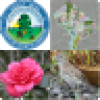 +icon+flower+ clipart