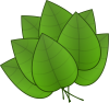 +plant+green+nature+carlitos+leaves+leaf+ clipart