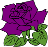 +purple+rose+flower+plant+ clipart