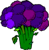 +bropcoli+food+purple+vegetable+ clipart