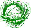 +cabbage+vegetable+food+ clipart