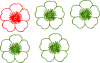 +cream+buttercup+flower+ clipart