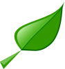 +leaf+ clipart