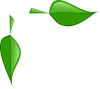 +leaf+leaves+plant+ clipart