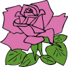 +rose+flower+blossom+plant+ clipart