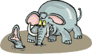 +animal+elephant+in+the+mud++ clipart
