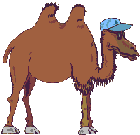 +egypt+camel+and+arab++ clipart