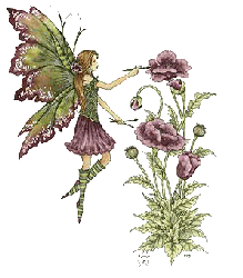 +nymph+fairy+and+poppies++ clipart