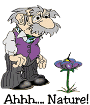 +people+old+man+and+bee+sting++ clipart