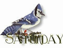 +word+text+saturday+day+of+the+week++ clipart