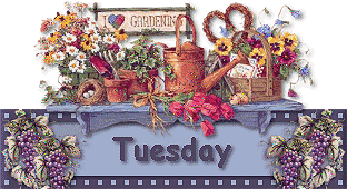 +word+text+tuesday+day+of+the+week++ clipart