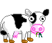 +farm+animal+chewing+cow++ clipart