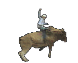+farm+animal+rodeo+riding+a+bull++ clipart