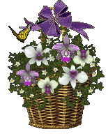 +flower+blossom+basket+of+flowers+and+butterfly++ clipart