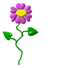 +flower+blossom+love+daisy++ clipart