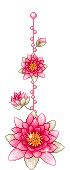 +flower+blossom+waterlillies++ clipart