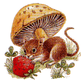 +food+mouse+and+mushroom++ clipart
