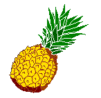+food+pineapple++ clipart
