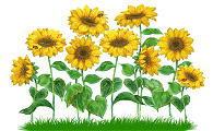 +gardening+sunflowers++ clipart