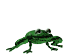 +reptile+animal+frog++ clipart